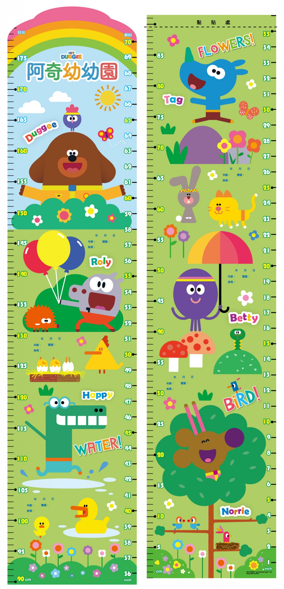阿奇幼幼園 繽紛身高尺(附英文字母表)